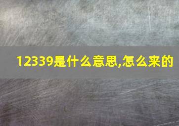 12339是什么意思,怎么来的