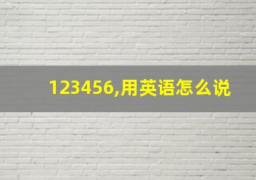 123456,用英语怎么说