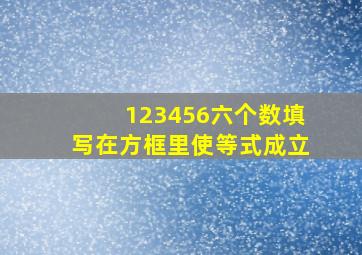 123456六个数填写在方框里使等式成立