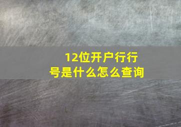 12位开户行行号是什么怎么查询