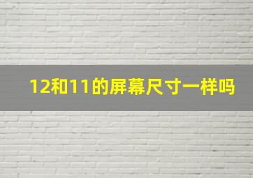 12和11的屏幕尺寸一样吗