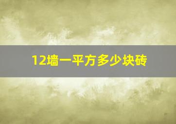 12墙一平方多少块砖