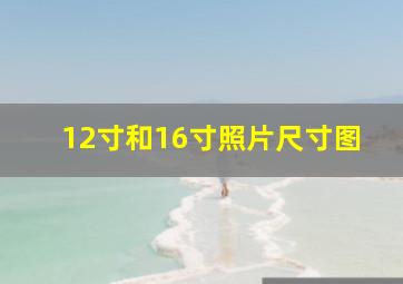 12寸和16寸照片尺寸图