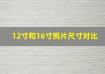 12寸和16寸照片尺寸对比