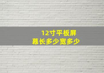 12寸平板屏幕长多少宽多少