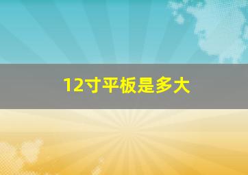 12寸平板是多大