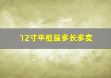 12寸平板是多长多宽