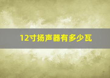 12寸扬声器有多少瓦