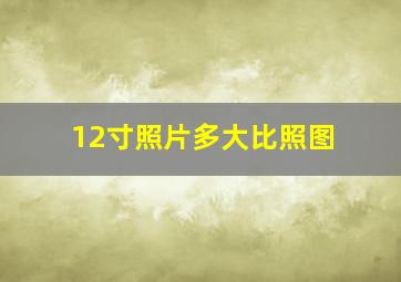 12寸照片多大比照图