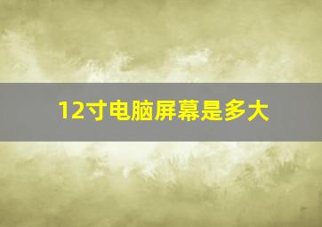 12寸电脑屏幕是多大