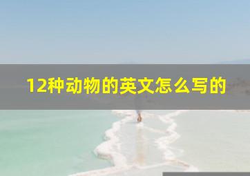 12种动物的英文怎么写的