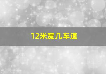 12米宽几车道