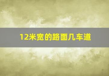 12米宽的路面几车道