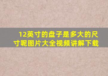 12英寸的盘子是多大的尺寸呢图片大全视频讲解下载