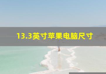 13.3英寸苹果电脑尺寸