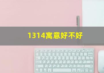 1314寓意好不好