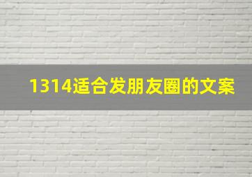 1314适合发朋友圈的文案