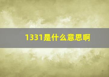 1331是什么意思啊