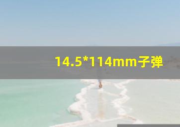 14.5*114mm子弹