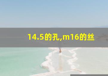 14.5的孔,m16的丝