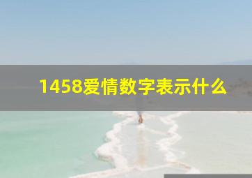 1458爱情数字表示什么