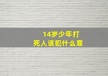 14岁少年打死人该犯什么罪