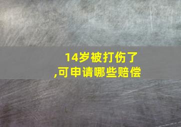 14岁被打伤了,可申请哪些赔偿