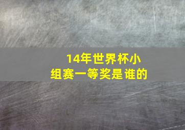 14年世界杯小组赛一等奖是谁的