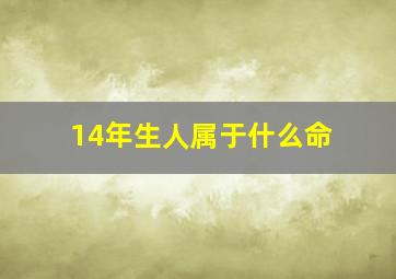 14年生人属于什么命