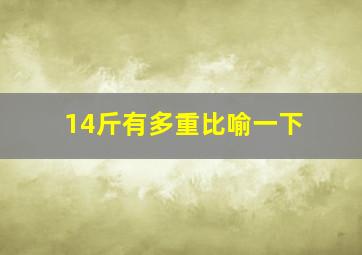 14斤有多重比喻一下