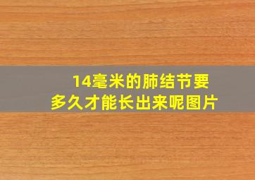 14毫米的肺结节要多久才能长出来呢图片