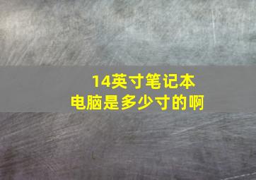 14英寸笔记本电脑是多少寸的啊