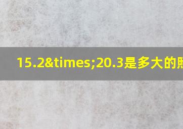 15.2×20.3是多大的照片