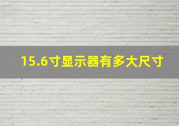 15.6寸显示器有多大尺寸