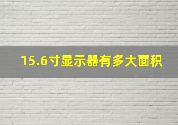 15.6寸显示器有多大面积