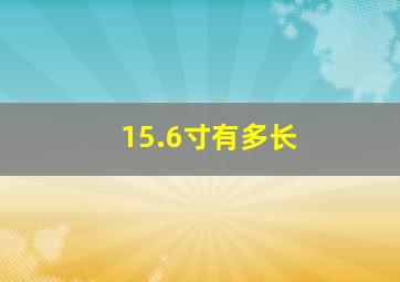 15.6寸有多长