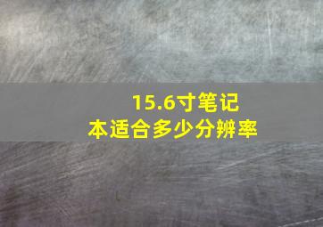 15.6寸笔记本适合多少分辨率