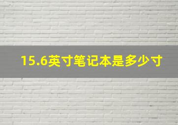 15.6英寸笔记本是多少寸