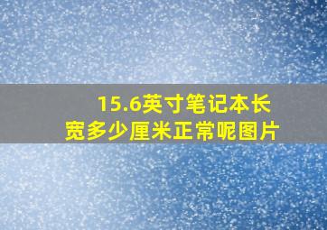 15.6英寸笔记本长宽多少厘米正常呢图片