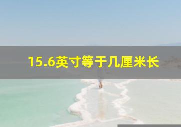 15.6英寸等于几厘米长