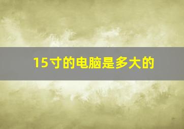 15寸的电脑是多大的