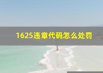 1625违章代码怎么处罚