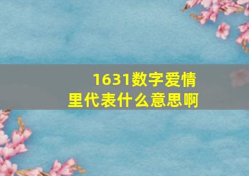 1631数字爱情里代表什么意思啊