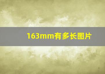 163mm有多长图片