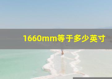 1660mm等于多少英寸