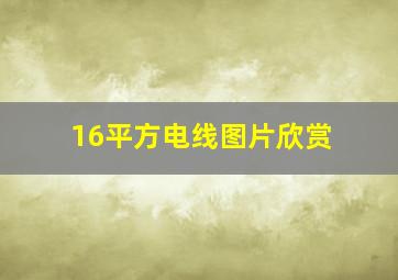 16平方电线图片欣赏