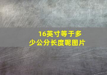 16英寸等于多少公分长度呢图片