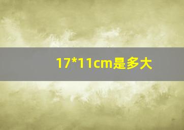 17*11cm是多大