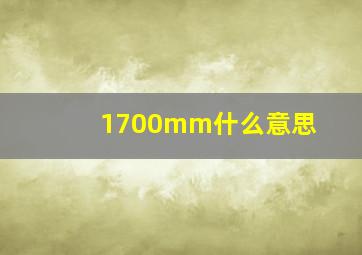 1700mm什么意思