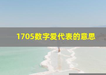 1705数字爱代表的意思